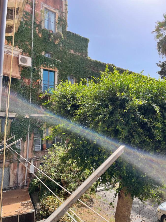 Bed And Books Isabella Bed and Breakfast Catania Exterior foto
