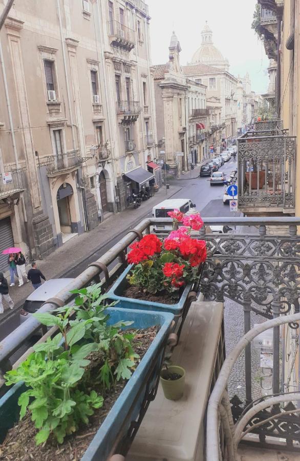 Bed And Books Isabella Bed and Breakfast Catania Exterior foto